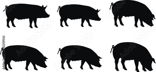 Silhouette pigs in standing and grazing poses, black farm animal icons, minimal vector design, side view pig postures, livestock illustration, agricultural concept