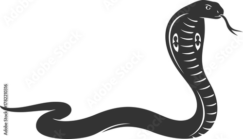 Cobra snake animal silhouette reptile black