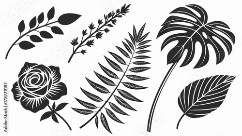 Botanical Black Silhouettes: A sophisticated collection of meticulously crafted, stark botanical silhouettes including leaves and flower, suitable for artful design.
