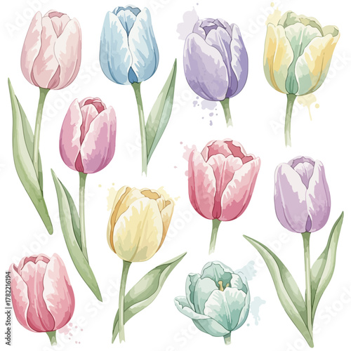 Vector Floral Pattern with Watercolor Tulip Elements in Pastel Colors for Modern Botanical Design