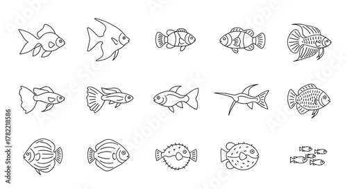 Collection of minimalistic line icons representing various types of fish, perfect for web and graphic design, apps, banners, social networks, and cards. This vector set includes goldfish, angelfish