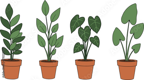 Collection of green indoor potted plants illustration, houseplants in terracotta pots, home gardening and botanical decoration vector design