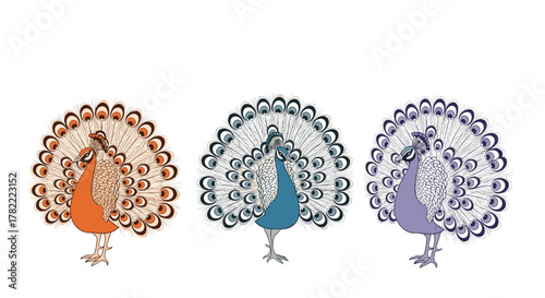 Three stylized peacocks with fanned tails in orange, blue, and purple hues, standing against a white background.