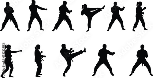 Martial arts silhouettes with punches, kicks, defensive stances, karate and taekwondo training poses, combat sport illustration, discipline practice, flat vector