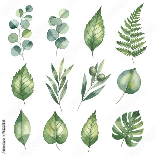 Vector Botanical Leaf Pattern in Organic Modern Style with Green Shades