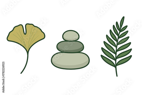 Minimalist spa and nature elements: ginkgo leaf, stacked pebbles, and green fern branch