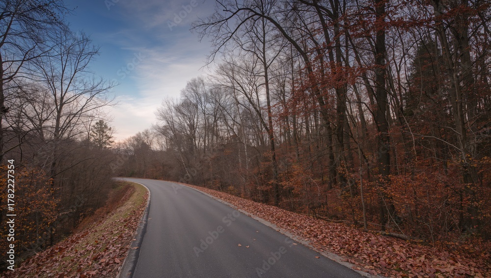 Fototapeta premium A paved pathway leading into a forest, erosion risk