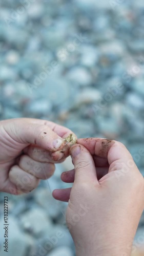 Close-Up of Fisherman’s Hands Hooking sea   Worm Before Casting, Vertical Video 