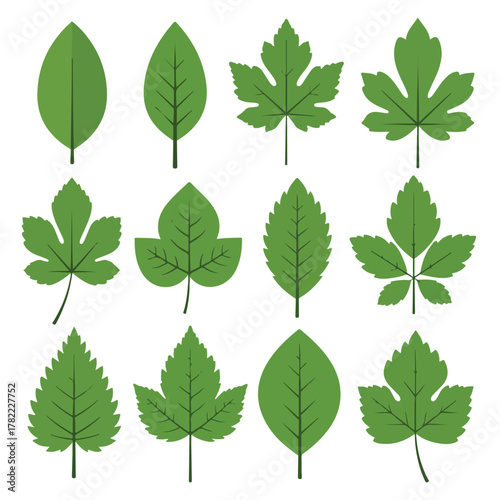 Vector Pattern of Green Leaf Shapes in Modern Organic Style for Botanical Design and Nature Theme Projects