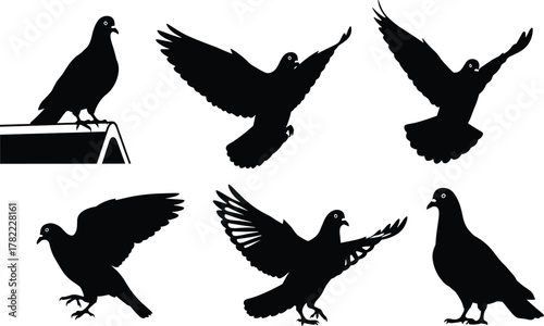 Pigeon silhouette vector set, flying pigeon illustration, perched bird design, urban wildlife artwork, black bird graphic, decorative animal drawing collection