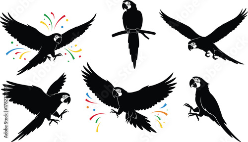 Parrot silhouette vector set, tropical bird illustration, exotic parrot in flight, perched parrot design, festive confetti wildlife graphic art