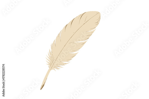 Detailed drawing of a single light beige bird feather isolated on a clean white background