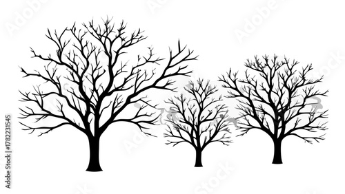 Striking silhouette of bare trees conveys winter's stark beauty, perfect for nature designs, spooky themes, or minimalist landscapes, originally a vector design