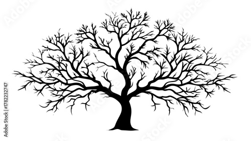 Striking silhouette of a bare, sprawling tree with intricate branches against a clean canvas, perfect for design projects