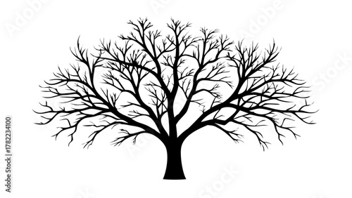 Striking black silhouette of a bare tree branches reaching outwards creating a dramatic natural design perfect for seasonal or symbolic themes