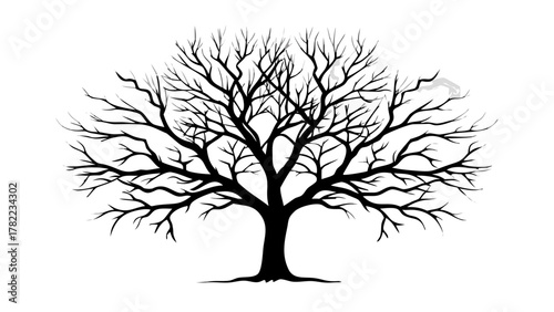 Striking bare tree silhouette captures the essence of winter's stark beauty and natural structure