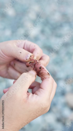 Vertical Video of Man’s Hands Threading Worm on Hook Outdoors