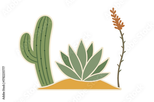 Boho composition of desert plants with tall cactus, agave, and dry flower stalk