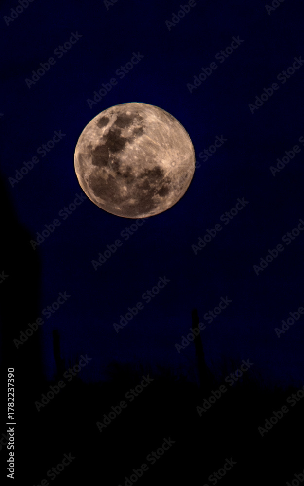 Fototapeta premium Lua cheia