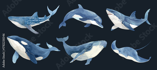 Marine animals watercolor set. Blue whale dolphin killer whale stingray whale shark, mammals wildlife ocean vector illustration