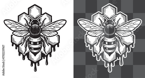 Bee and Honeycomb Vector Illustration in Engraved Vintage Style Symbolizing Nature Sweetness and Industry Perfect for Ecology Natural Products Design and Classic Decorative Artwork Concepts