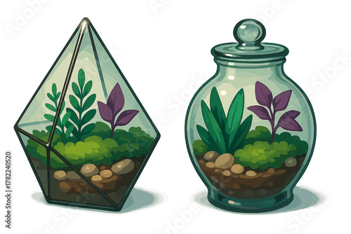 Two decorative glass containers holding miniature indoor gardens with lush green foliage and purple leaves