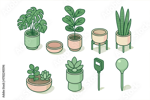 Set of popular indoor houseplants and essential gardening tools for home decor