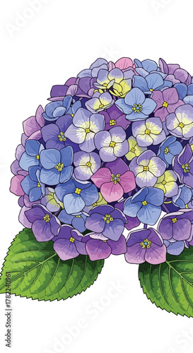Vector Illustration of Hydrangea Flower Cluster in Realistic Botanical Style
