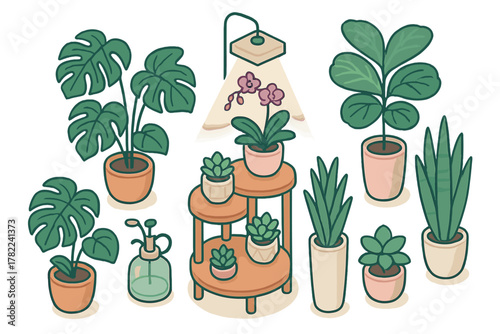 Popular indoor houseplants collection including Monstera, succulents, orchid, and snake plant on a tiered stand