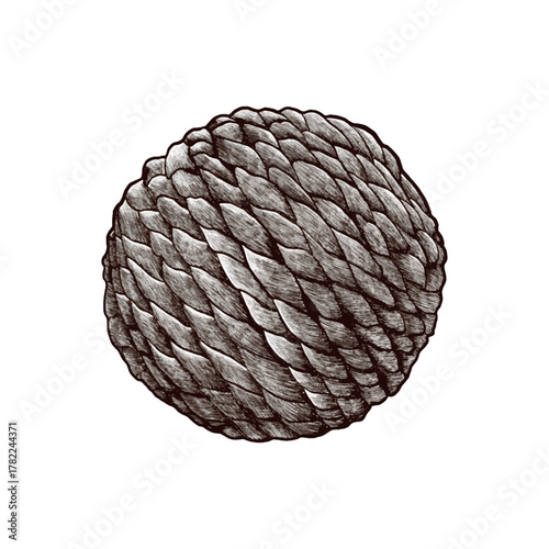 Jute ball for playing with cats. Vector image drawn in graphic style.