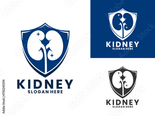 Kidney protections logo design vector. Kidney with shield illustration logo design vector template