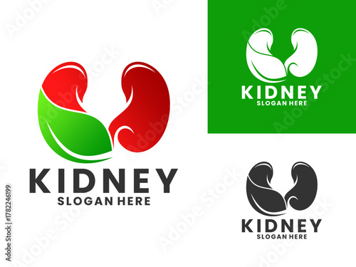Nature kidney with leaf logo design vector template. Healthy kidney logo design