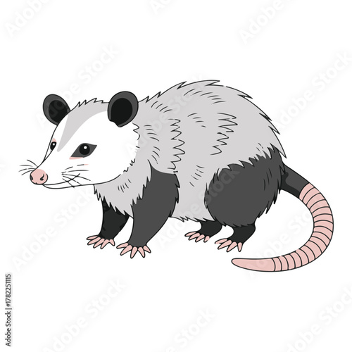 Kawaii Opossum Gentle Opossum with Soft Pink Nose and Curled Tail