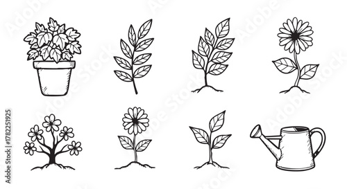 Botanical Line Art Collection Featuring Potted Plant Branch Tree and Flower
