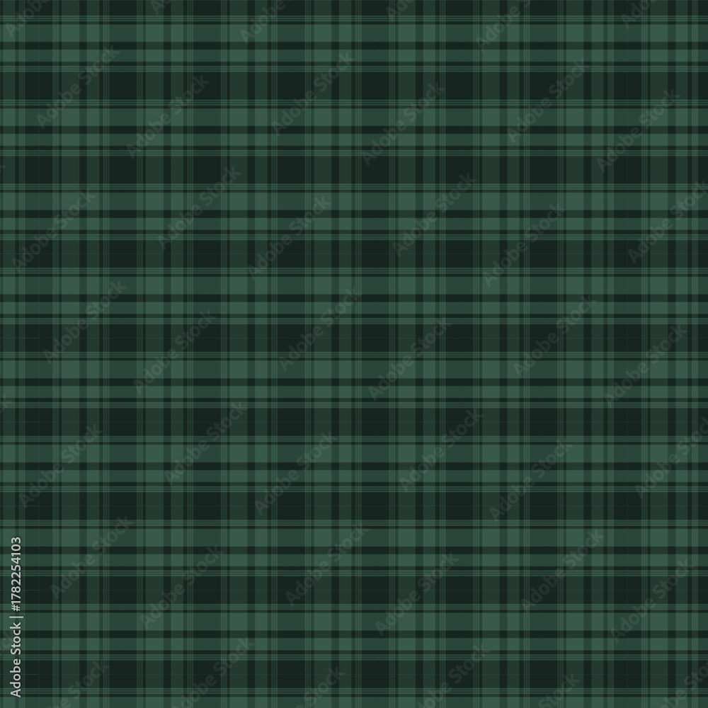 Obraz premium Deep Forest Green and Black Plaid Seamless Pattern