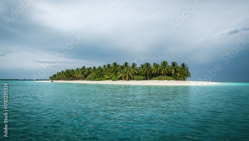 Fototapeta Naklejka Na Ścianę i Meble -  Scenic beach featuring palm trees under a dramatic sky, ideal for travel-themed visuals
