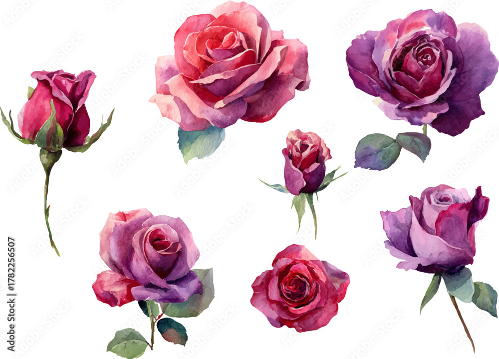 Naklejka premium bouquet of roses