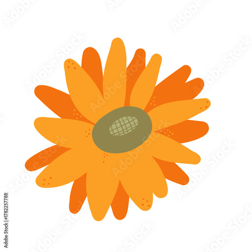 Autumn sunflower isolated on white background. Vector illustration for home decor and design, greeting card, banner, poster, label.
