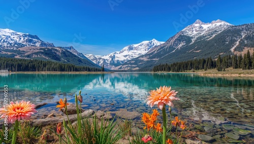 Fototapeta Naklejka Na Ścianę i Meble -  Clear lake with flowers, showcasing natural beauty, seasonal change