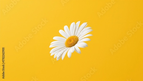 A white daisy or chamomile flower suspended in the air against a yellow backdrop, potential use in healthcare or cosmetic applications