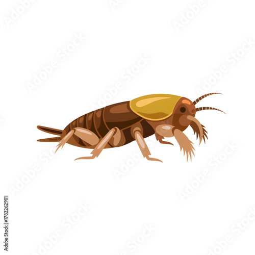 A mole cricket illustration vector style