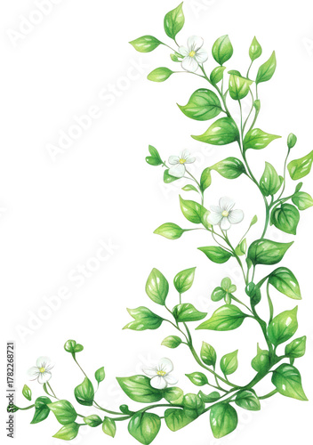 Wallpaper Mural Green leaves and white flowers isolated on transparent background, a delicate watercolor illustration for botanical designs and elegant stationery projects Torontodigital.ca