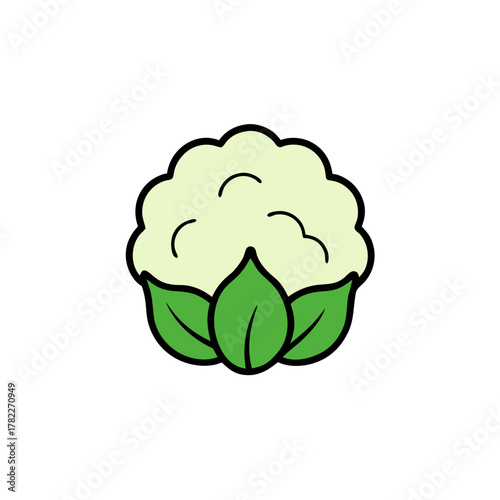 green cabbage isolated on white