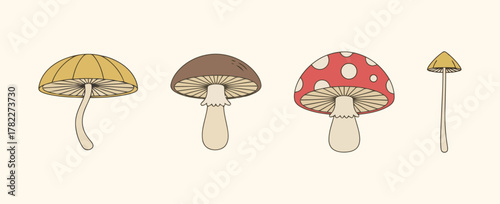 Retro-style vector illustration set of various colorful wild mushrooms on a light background, symbolizing nature, forest, foraging, and botanical themes.