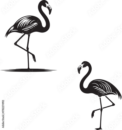 Two elegant black and white silhouette flamingos standing gracefully on one leg