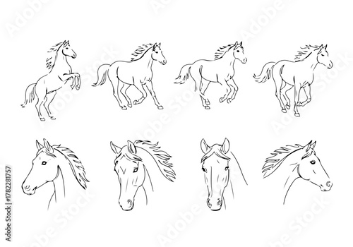 A beautiful collection of continuous line drawing sketch art showing horse movement and portraits