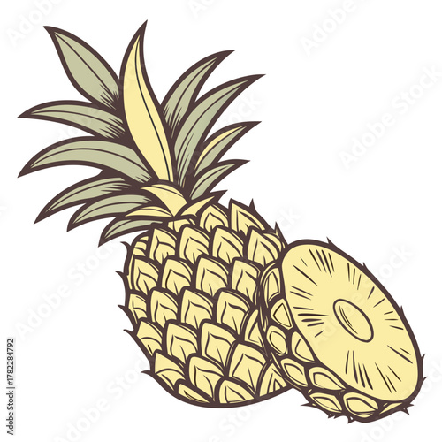 illustration of pineapple