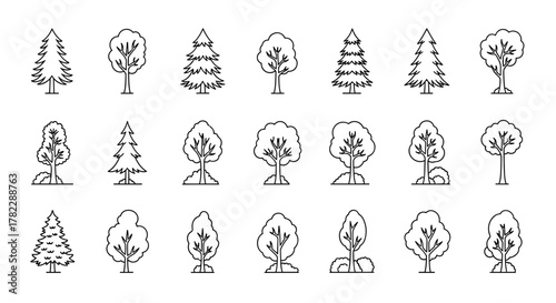 Collection of simple line art tree illustrations, featuring various deciduous and coniferous shapes, perfect for graphic design, web elements, app icons, and educational materials, presented on a