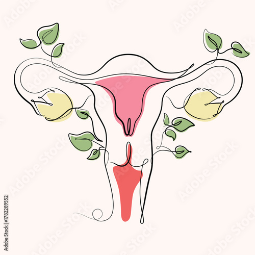 Uterus and Ovaries with leaves growing one line drawing. Uterus and Ovaries with leaves growing single line illustration. Uterus and Ovaries with leaves growing minimalist line art 