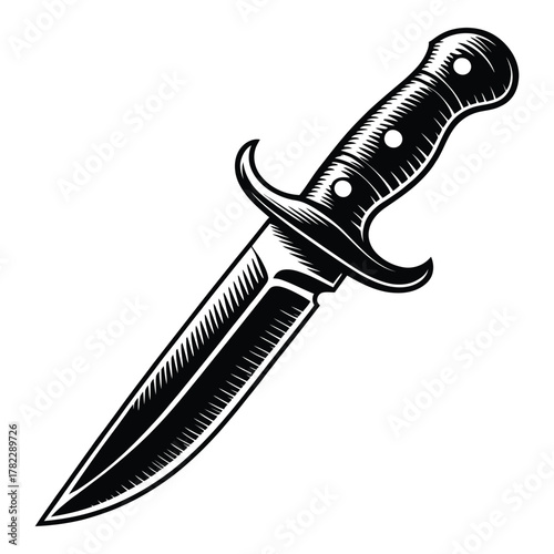 Detailed vector illustration of a dagger with an elaborate hilt design